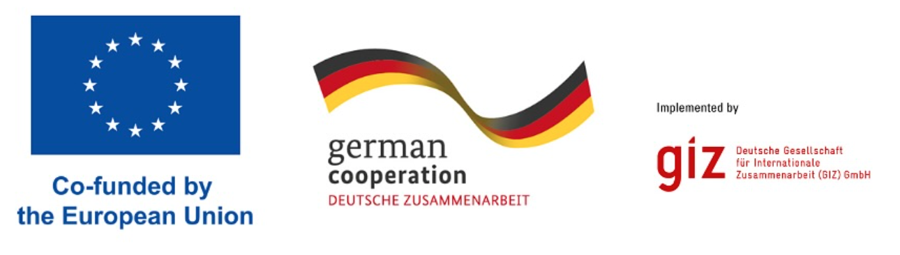 Organizacijski partneri - GIZ